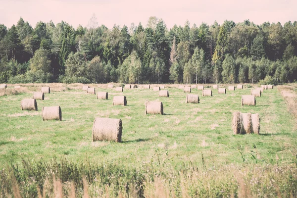 Rotoli di fieno in campo verde. Vintage . — Foto Stock