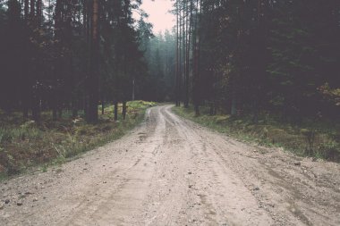 ülke stabilize yol ormanın içinde. Vintage.