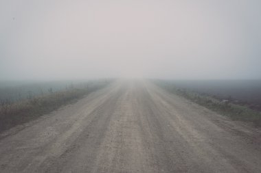 Ağır Sis güzel yeşil çayır. Vintage.