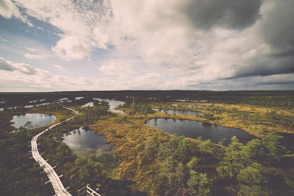 Swamp view with lakes and footpath. Vintage. — Stock Photo, Image