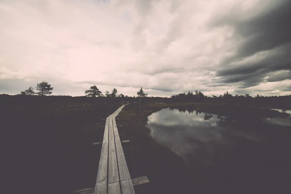 Swamp view with lakes and footpath. Vintage. — Stock Photo, Image