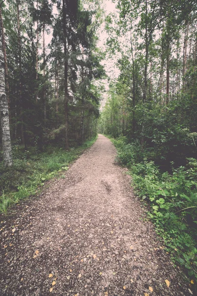 Misty country road in the early morning. Vintage. — Stock Photo, Image