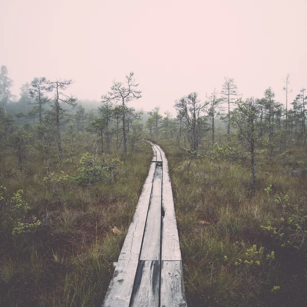 沼の木製歩道橋。ヴィンテージ. — ストック写真