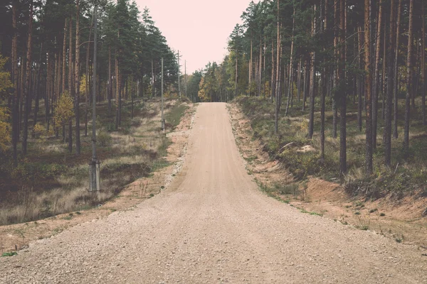 Ülke stabilize yol ormanın içinde. Vintage. — Stok fotoğraf