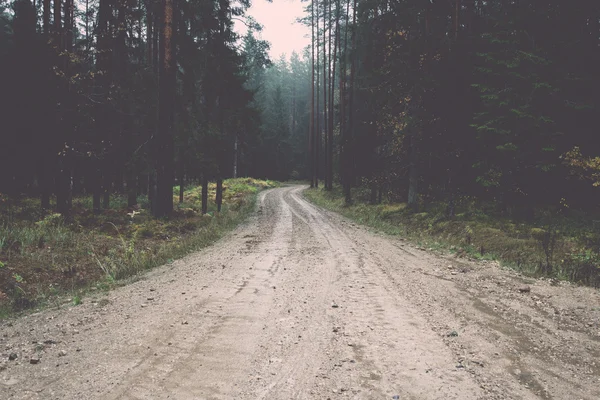 Strada sterrata di campagna nella foresta. Vintage . — Foto Stock