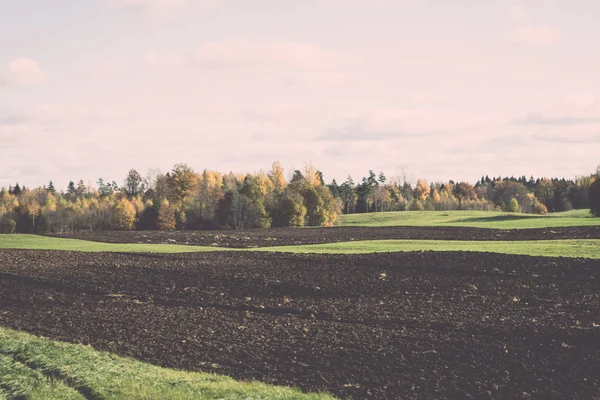 Grüne Wiese mit Bäumen auf dem Land. Jahrgang. — Stockfoto