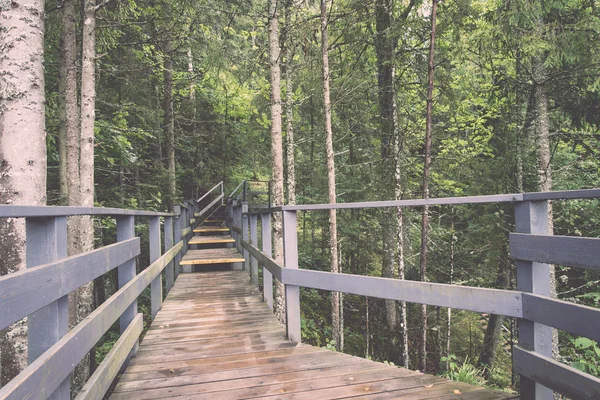 Sendero turístico escénico y hermoso en el bosque cerca del río. Vin. — Foto de Stock