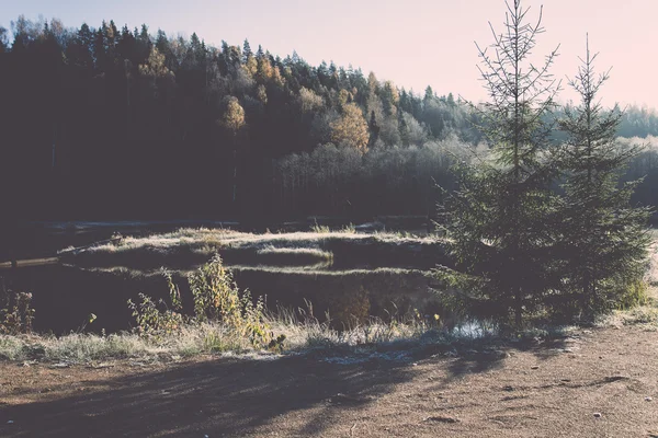 Herfst gekleurde platteland landschap. Vintage. — Stockfoto