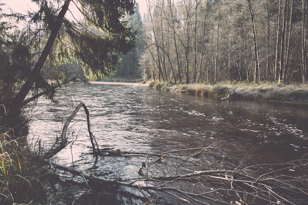 Ülkede doğal sonbahar renkli nehir. Vintage. — Stok fotoğraf