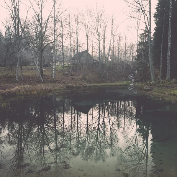 clear morning by small lake with reflections. Vintage.