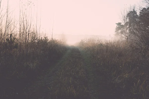 Beautiful misty meadow in the morning frost. Vintage. — Stock Photo, Image