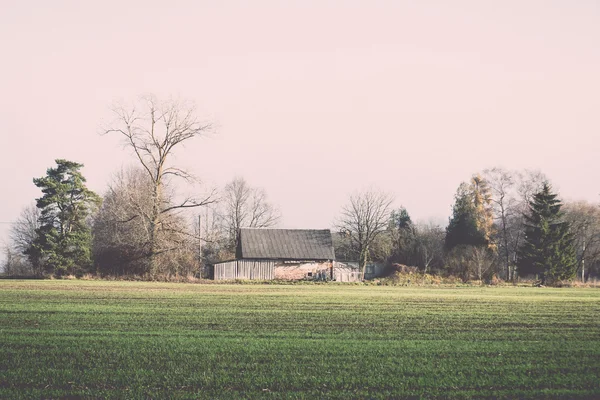 Schöne grüne Wiese im dichten Nebel. Jahrgang. — Stockfoto