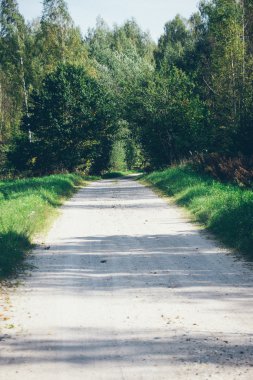 ülkenin peyzaj alanları ve mavi gökyüzü. Retro grenli film lo