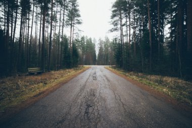 Ormandaki eski yolu. Retro grenli film bak.