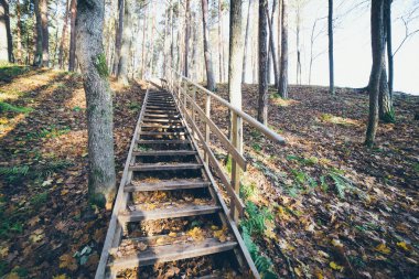 sonbahar renkli turizm iz ormanın içinde. Retro grenli film loo
