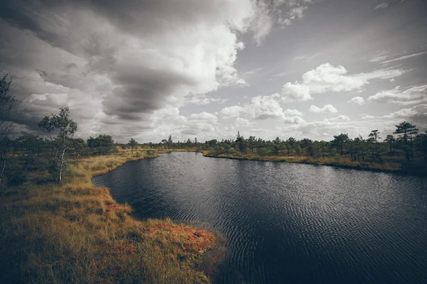 Träsk med sjöar och vandringsled. Retro kornig film look. — Stockfoto