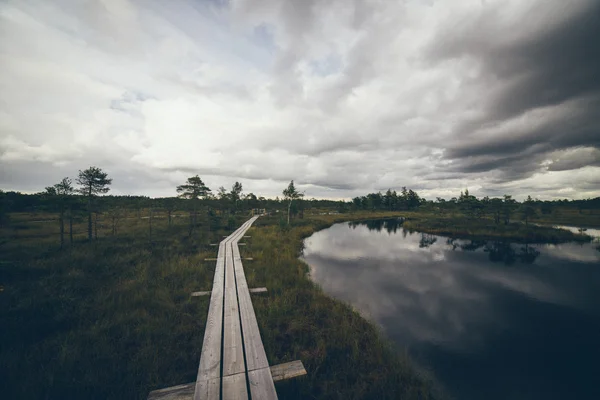 Träsk med sjöar och vandringsled. Retro kornig film look. — Stockfoto