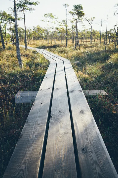 Дерев'яна стежка на болоті. Ретро-сіра плівка дивитися . — стокове фото