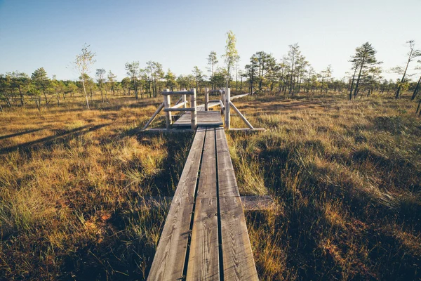 Sendero de madera en el pantano. Aspecto de película granulada retro . — Foto de Stock