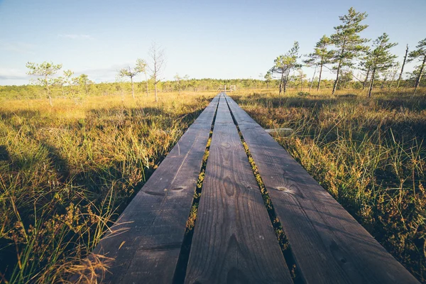 沼地の上の木製の歩道。レトロな粒子の粗いフィルムの外観. — ストック写真