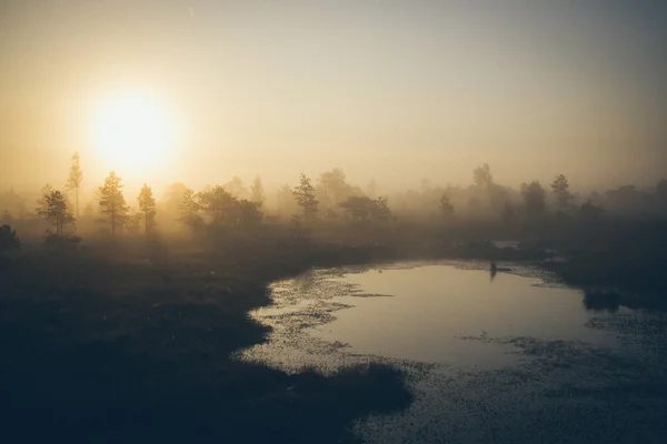 Beautiful tranquil landscape of misty swamp lake. Retro grainy f — Stock Photo, Image