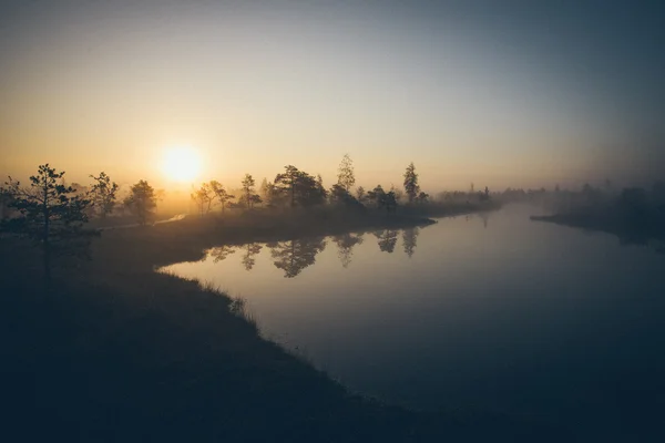 Bela paisagem tranquila do lago pântano nebuloso. Grão retro f — Fotografia de Stock