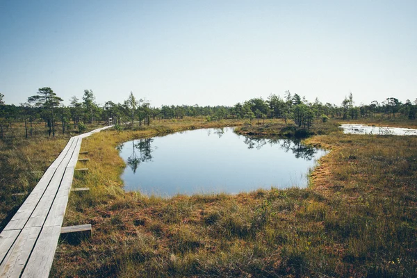 Schöne ruhige Landschaft mit nebligem Sumpfsee. retro körnig f — Stockfoto
