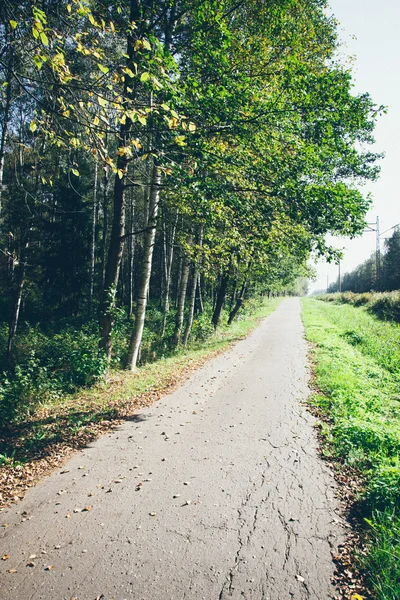 Country road with birch trees and old asphalt road. Retro grainy — Stock Photo, Image