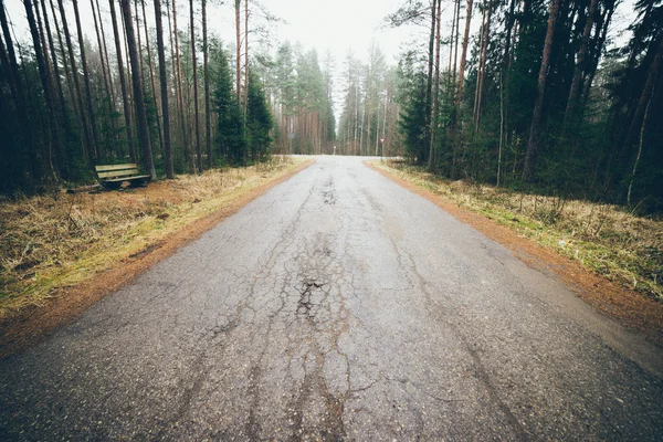 Stara droga w lesie. Wygląd retro ziarnisty film. — Zdjęcie stockowe