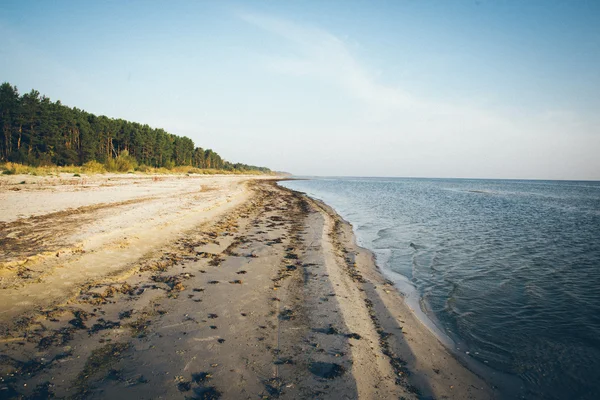 Beach skyline with sand and perspective. Retro grainy film look. — Stock Photo, Image