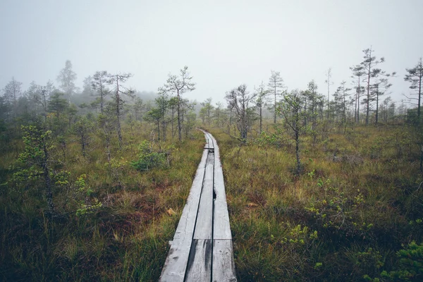 沼の木製歩道橋。レトロな粒子の粗いフィルムの外観. — ストック写真