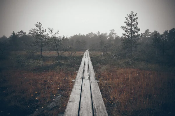 Passerelle en bois dans la tourbière. Retro look film granuleux . — Photo