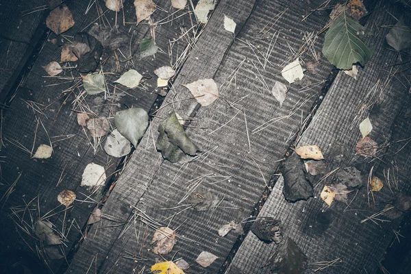 Stare drewniane deski pokryte liśćmi. Wygląd retro ziarnisty film. — Zdjęcie stockowe