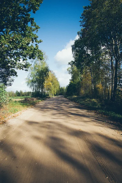 Camino de campo vacío —  Fotos de Stock