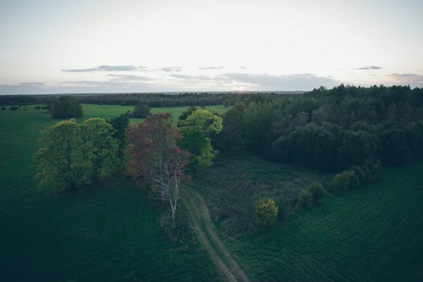 Grüne Felder Luftaufnahme vom Aussichtsturm. Retro körniger Film-Look — Stockfoto