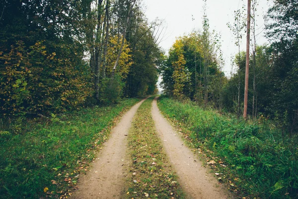 Route de campagne vide — Photo