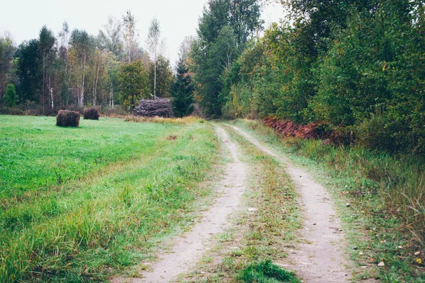 Boş köy yolunda — Stok fotoğraf