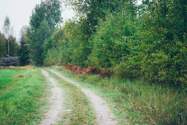 Порожній сільська дорога — стокове фото