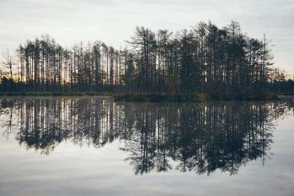 Riflessi nell'acqua del lago. Aspetto del film retrò granulare . — Foto Stock