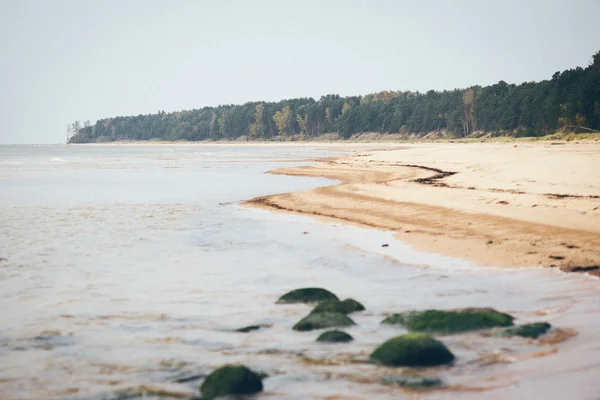 Shoreline of Baltic sea beach with rocks and sand dunes. Retro g — Stock Photo, Image