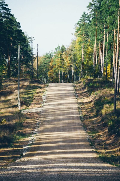 Land onverharde weg in het forest. Retro korrelig film kijken. — Stockfoto