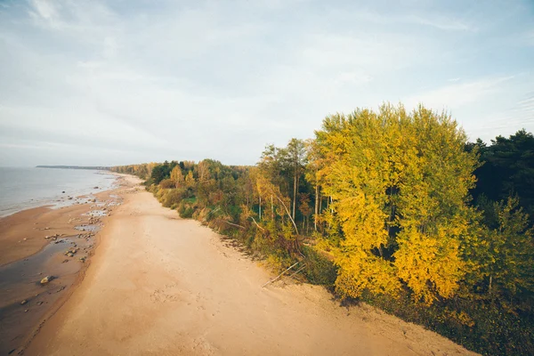 Vue aérienne sur le rivage de la mer Baltique plage avec des rochers et — Photo