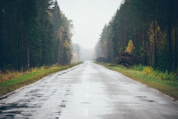 Strada asfaltata bagnata con riflessi solari. Aspetto del film retrò granulare . — Foto Stock