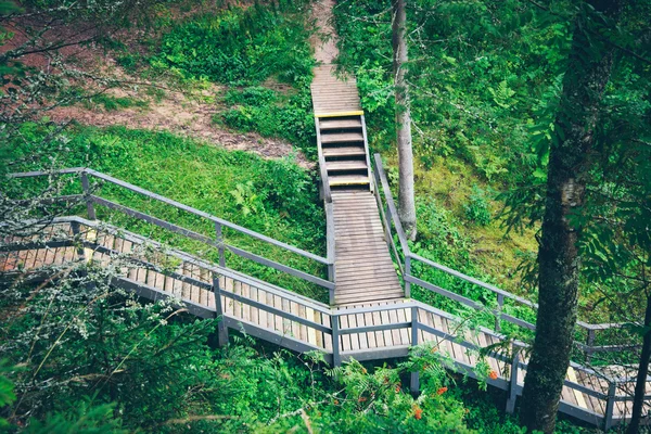 Sendero turístico escénico y hermoso en el bosque cerca del río. Ret. — Foto de Stock