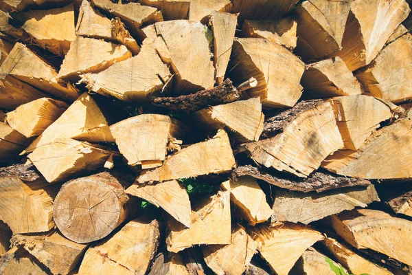 Leña apilada de abeto en el bosque. Aspecto de película granulada retro — Foto de Stock