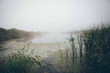 swamp view with lakes and footpath. Retro grainy film look.