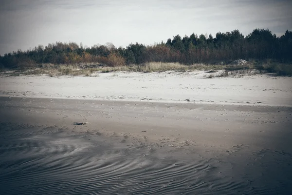 Ijskoude zee strand met eerste ijs stukken. Retro korrelige film kijken. — Stockfoto