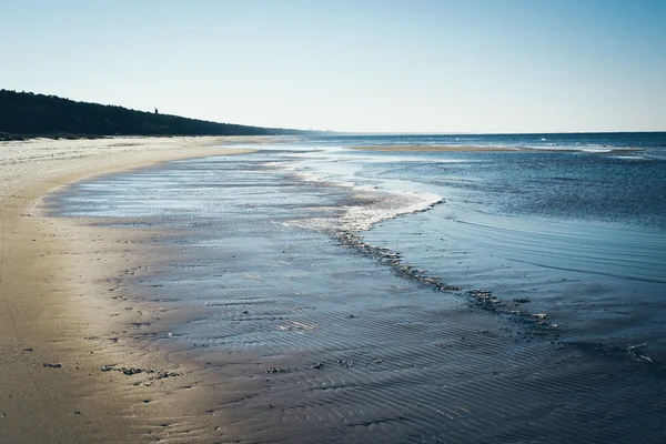 Ijskoude zee strand met eerste ijs stukken. Retro korrelige film kijken. — Stockfoto