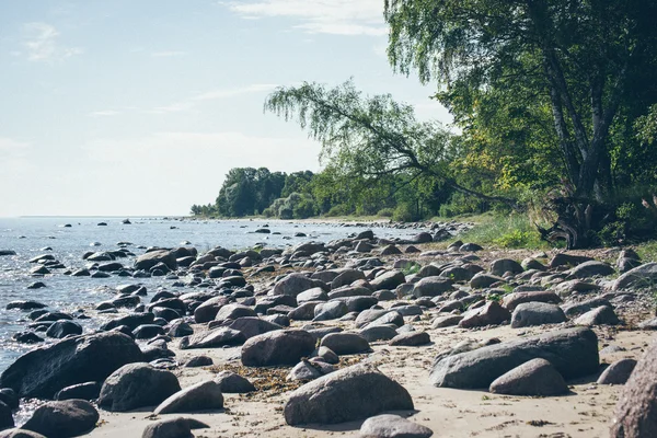 Βραχώδης παραλία στη Βαλτική θάλασσα. Ρετρό κοκκώδες φιλμ ματιά. — Φωτογραφία Αρχείου