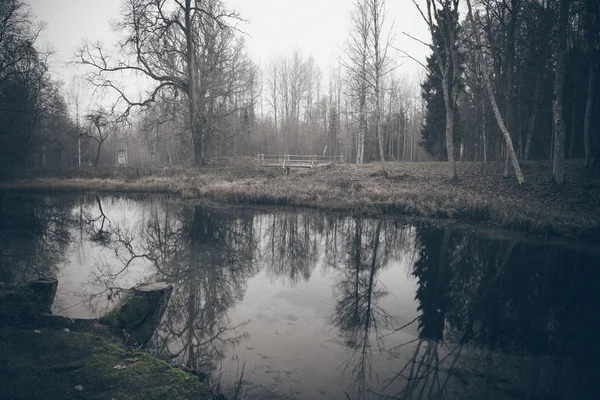 Matin clair au bord d'un petit lac avec des reflets. Film granuleux rétro — Photo